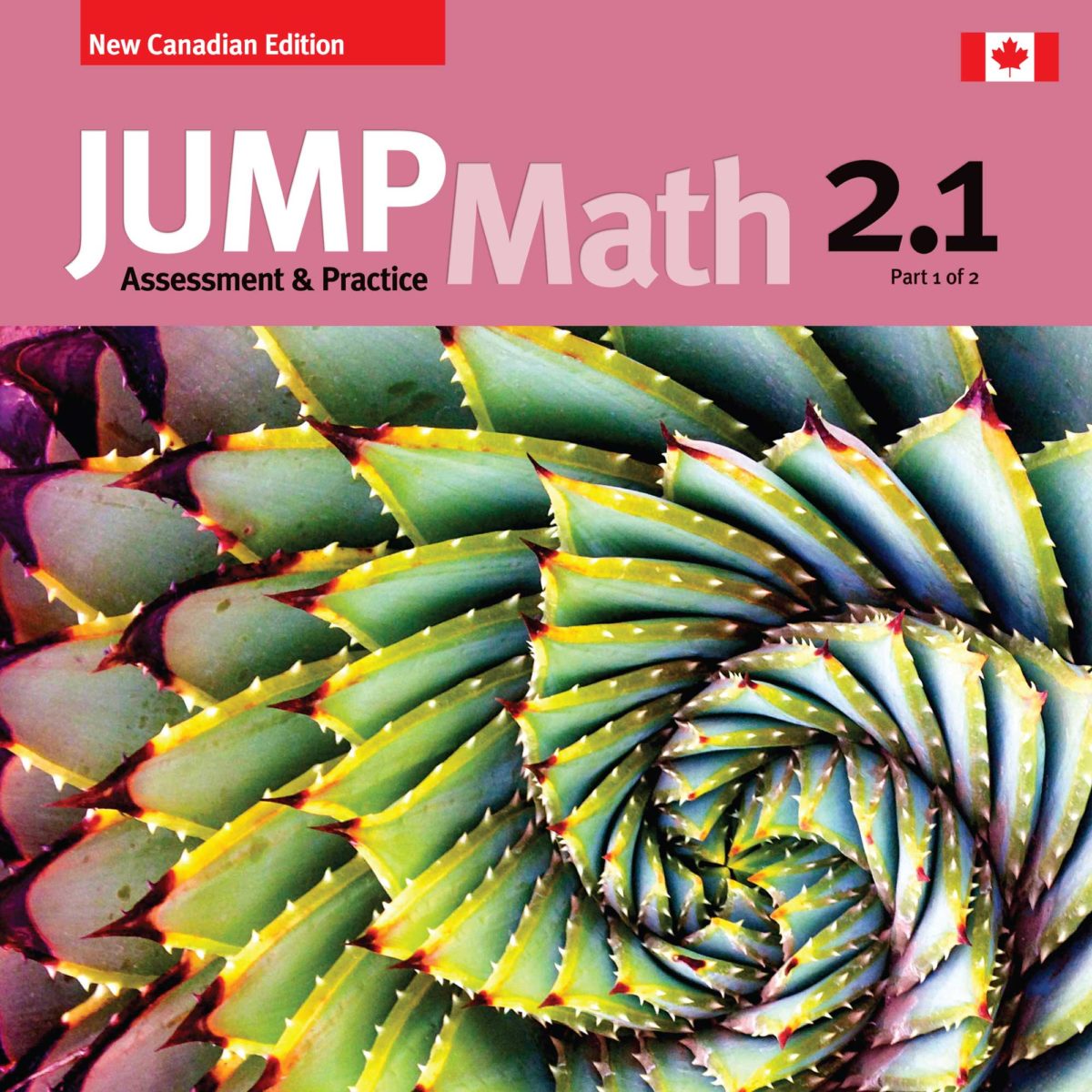 Assessment & Practice Book 2.1 JUMP Math Canada